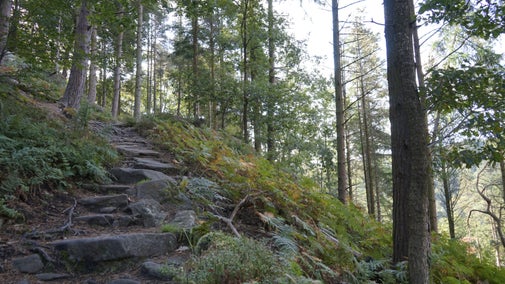 A stone path leads uphill through green trees